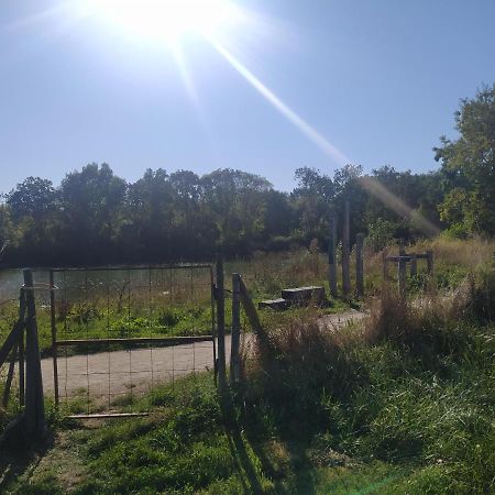 Gite La Pironniere - Piscine, Nature, Au Bord De La Riviere Montreuil-sur-Maine 외부 사진