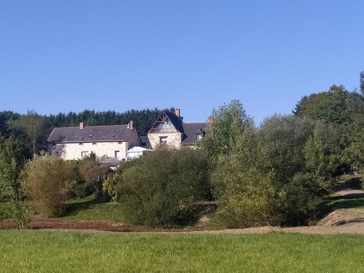 Gite La Pironniere - Piscine, Nature, Au Bord De La Riviere Montreuil-sur-Maine 외부 사진