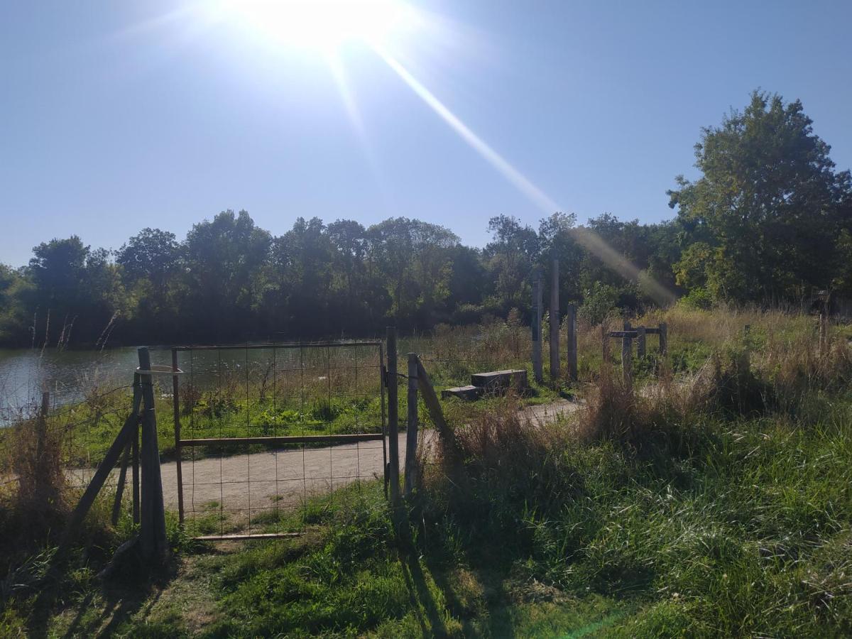 Gite La Pironniere - Piscine, Nature, Au Bord De La Riviere Montreuil-sur-Maine 외부 사진